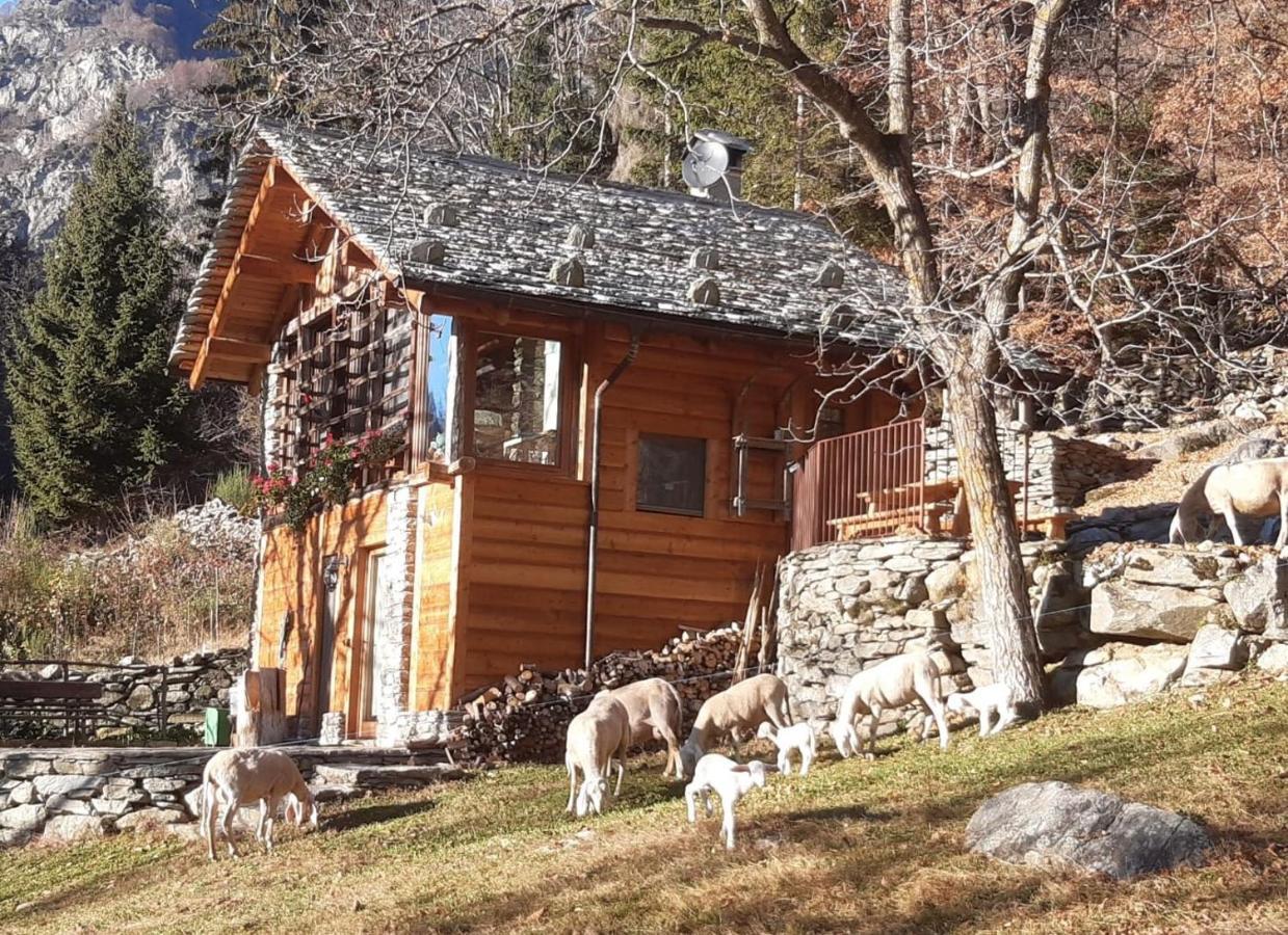 Baita Del Noce Mollia Exterior photo